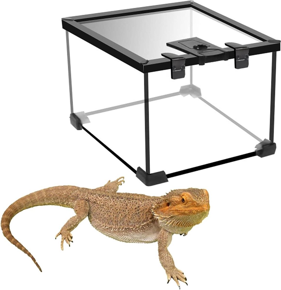 Calcium, microfijn voor reptielen