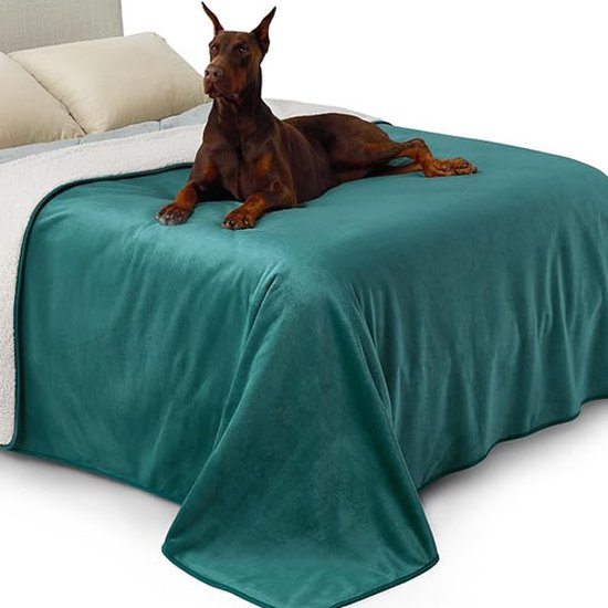 Hondenmand - Hondenbed - Hondendeken - Pets Fortune Hondenmand - Hondenbed - Hondendeken - Pets Fortune