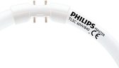 Philips TL5C 60W 840 (MASTER) | Koel Wit.