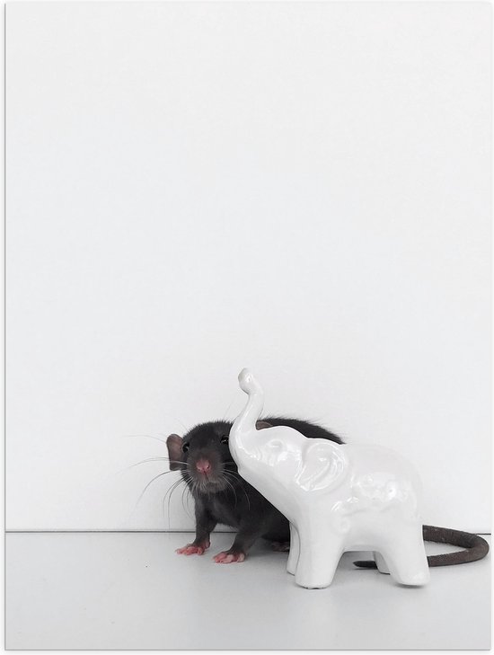 Poster Glanzend – Grijze Muis bij Miniatuur Olifanten Beeldje tegen Witte Muur - 30x40 cm Foto op Posterpapier met Glanzende Afwerking