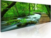 Schilderij - Pad door het bos III , groen bruin , premium print op canvas