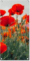 Tuinschilderij - Bloemen - Klaproos - Rood - Tuin - 40x80 cm - Schuttingdoek - Tuinposter - Tuindecoratie - Tuindoek - Buitenposter
