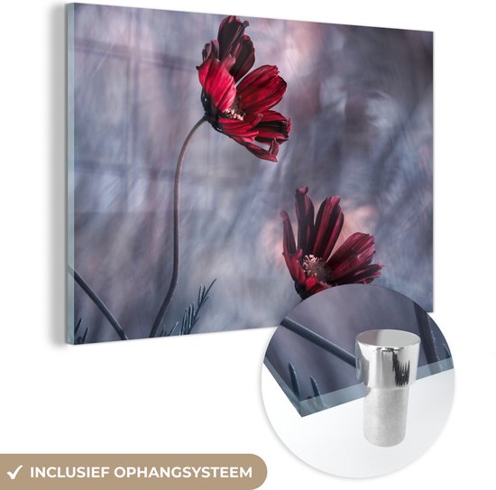 MuchoWow® Glasschilderij 30x20 cm - Schilderij acrylglas - Bloemen - Rood - Planten - Natuur - Foto op glas - Schilderijen