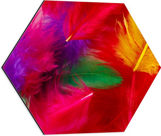 Dibond Hexagon - Meerkleurige Veren in Felle Kleuren - 50x43.5 cm Foto op Hexagon (Met Ophangsysteem)
