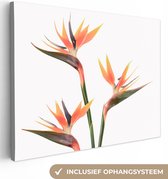 Canvas Schilderij Bloemen - Oranje - Natuur - Planten - 80x60 cm - Wanddecoratie