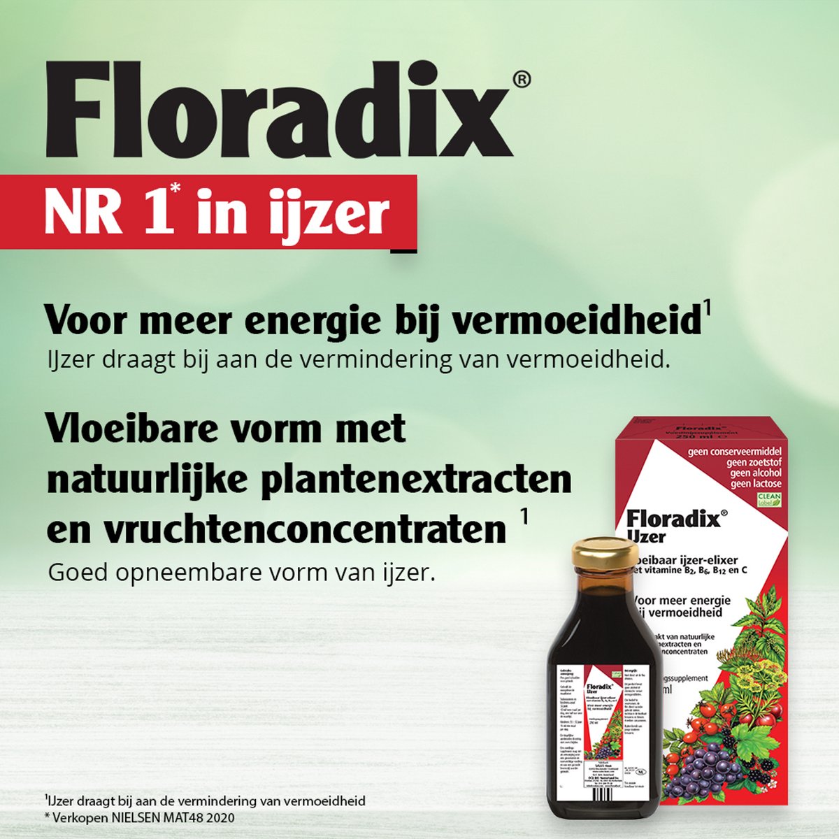 Salus Floradix IJzer-elixir – Bij – Voedingssupplement met ijzer en... bol.com