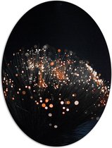 Dibond Ovaal - Takken met Oranje Lichtjes aan de Bovenkant - 42x56 cm Foto op Ovaal (Met Ophangsysteem)