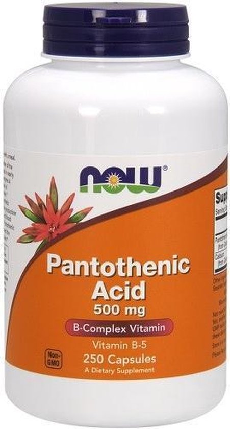 Verkleuren Terminal Luxe NOW Foods - Pantotheenzuur, 500 mg (250 Capsules) | bol.com