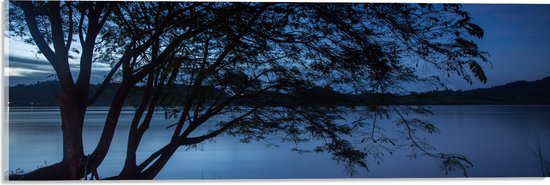 Acrylglas - Silhouet van Boom hangend over Meer tijdens Zomerse Avond - 60x20 cm Foto op Acrylglas (Met Ophangsysteem)
