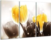 Peinture sur toile Tulipe | Jaune, gris | 120x80cm 3 Liège