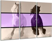 GroepArt - Schilderij -  Paard - Paars, Zwart, Grijs - 120x80cm 3Luik - 6000+ Schilderijen 0p Canvas Art Collectie