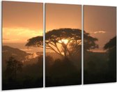 Arbre de peinture sur toile | Marron, jaune, noir | 120x80cm 3 Liège