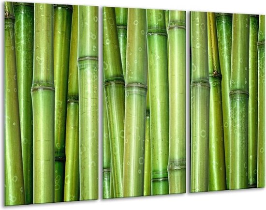 Glasschilderij Bambus, Natuur - Groen - 120x80cm 3Luik - Foto Op Glas - Geen Acrylglas Schilderij - GroepArt 6000+ Glas Art Collectie - Maatwerk Mogelijk