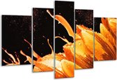 Glasschilderij Tulp - Oranje, Zwart - 170x100cm 5Luik - Foto Op Glas - Geen Acrylglas Schilderij - 6000+ Glasschilderijen Collectie - Wanddecoratie