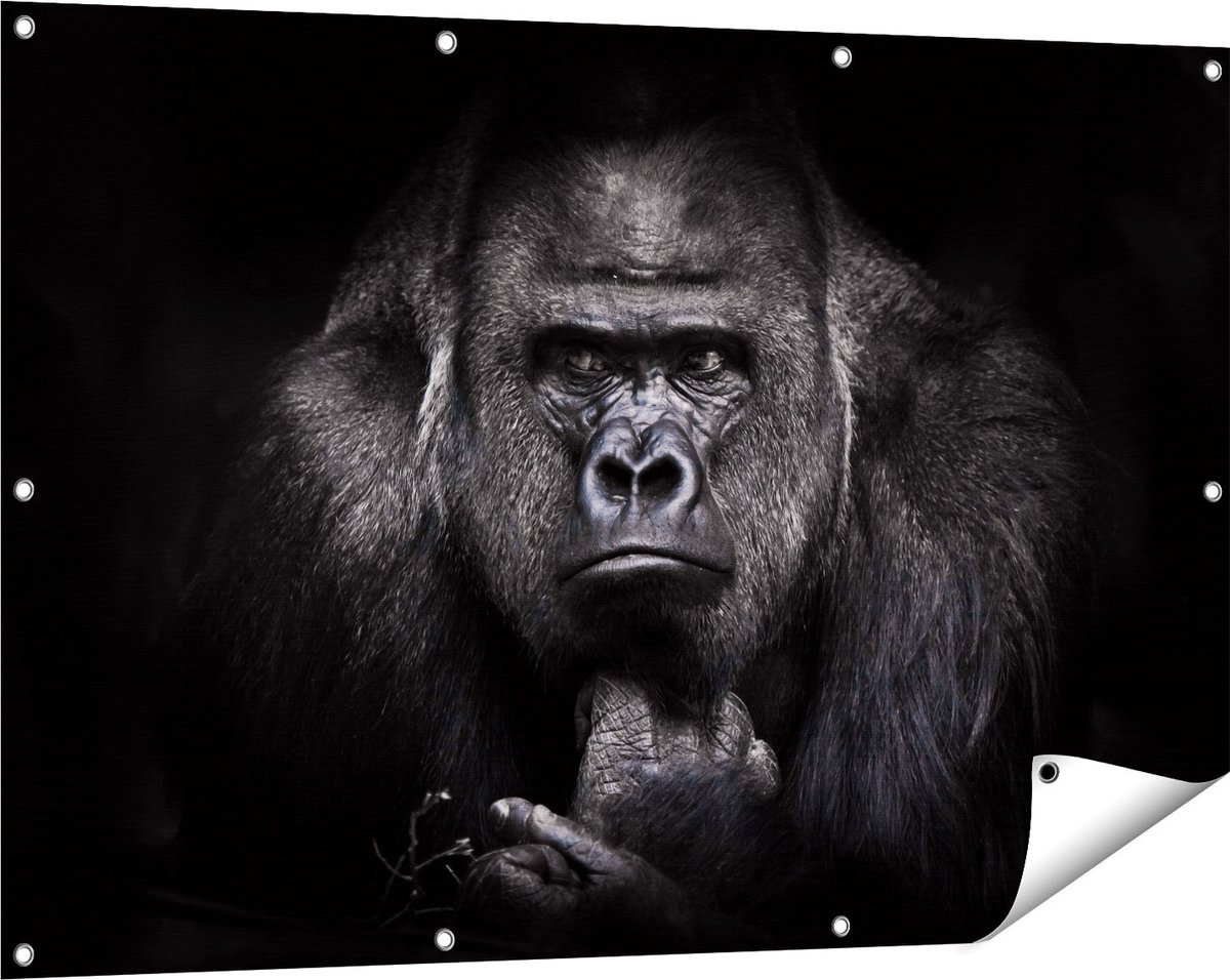 Gards Tuinposter Gorilla - Zwart Wit - 120x80 cm - Tuindoek - Tuindecoratie - Wanddecoratie buiten - Tuinschilderij Multikleur
