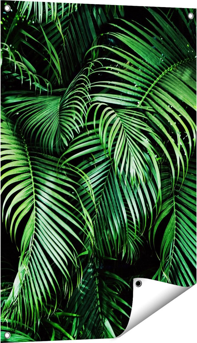 Gards Tuinposter Tropische Palm Bladeren - Groen - 60x90 cm - Tuindoek - Tuindecoratie - Wanddecoratie buiten - Tuinschilderij Multikleur