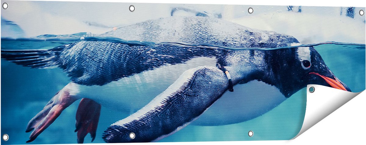 Gards Tuinposter Pingu�n Zwemt in het Water - 120x40 cm - Tuindoek - Tuindecoratie - Wanddecoratie buiten - Tuinschilderij Multikleur