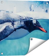 Gards Tuinposter Pingu�n Zwemt in het Water - 50x50 cm - Tuindoek - Tuindecoratie - Wanddecoratie buiten - Tuinschilderij