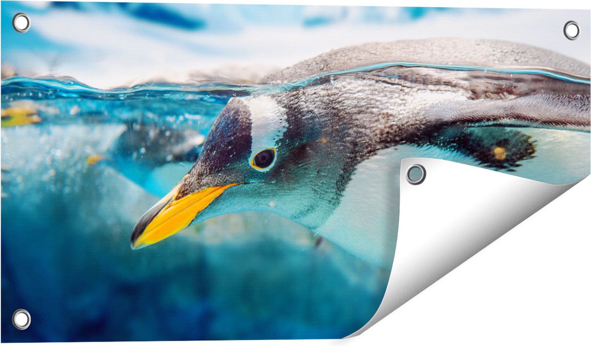 Gards Tuinposter Pingu�n Zwemt onder Water - 60x30 cm - Tuindoek - Tuindecoratie - Wanddecoratie buiten - Tuinschilderij Multikleur