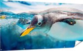 Gards Tuinposter Pingu�n Zwemt onder Water - 200x100 cm - Tuindoek - Tuindecoratie - Wanddecoratie buiten - Tuinschilderij