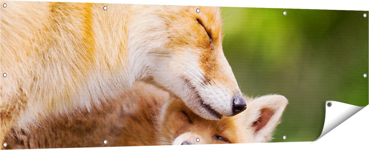 Gards Tuinposter Moeder Vos met haar Welp - 180x60 cm - Tuindoek - Tuindecoratie - Wanddecoratie buiten - Tuinschilderij Multikleur