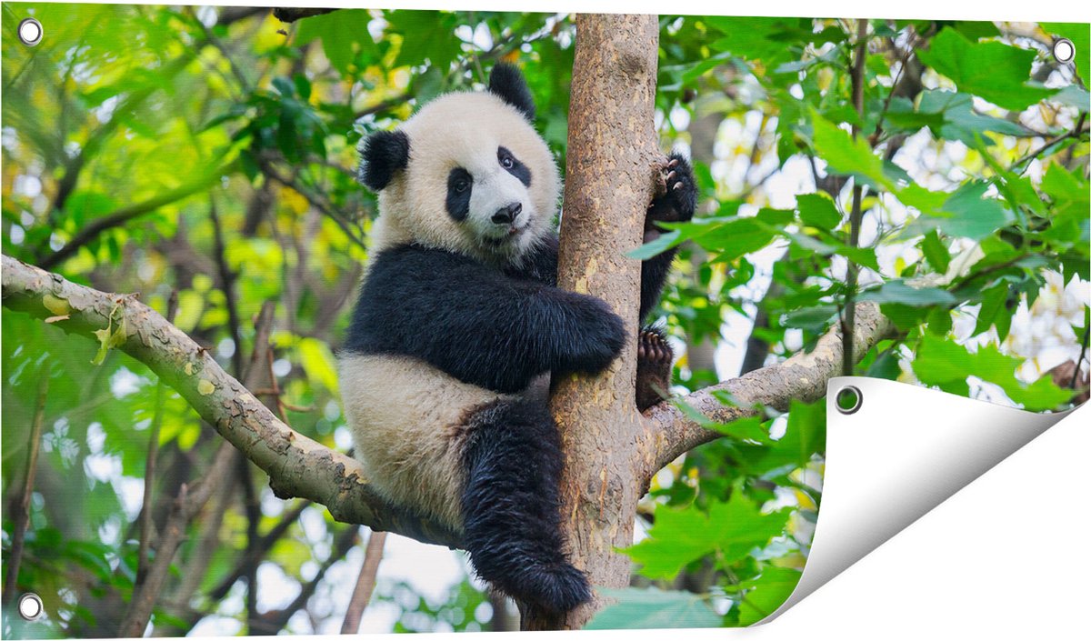 Gards Tuinposter Panda in de Bomen - 80x40 cm - Tuindoek - Tuindecoratie - Wanddecoratie buiten - Tuinschilderij Multikleur