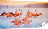 Gards Tuinposter Kudde Flamingo's in het Water - 180x90 cm - Tuindoek - Tuindecoratie - Wanddecoratie buiten - Tuinschilderij