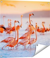 Gards Tuinposter Kudde Flamingo's in het Water - 70x70 cm - Tuindoek - Tuindecoratie - Wanddecoratie buiten - Tuinschilderij