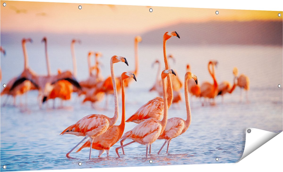 Gards Tuinposter Kudde Flamingo's in het Water - 160x80 cm - Tuindoek - Tuindecoratie - Wanddecoratie buiten - Tuinschilderij Multikleur