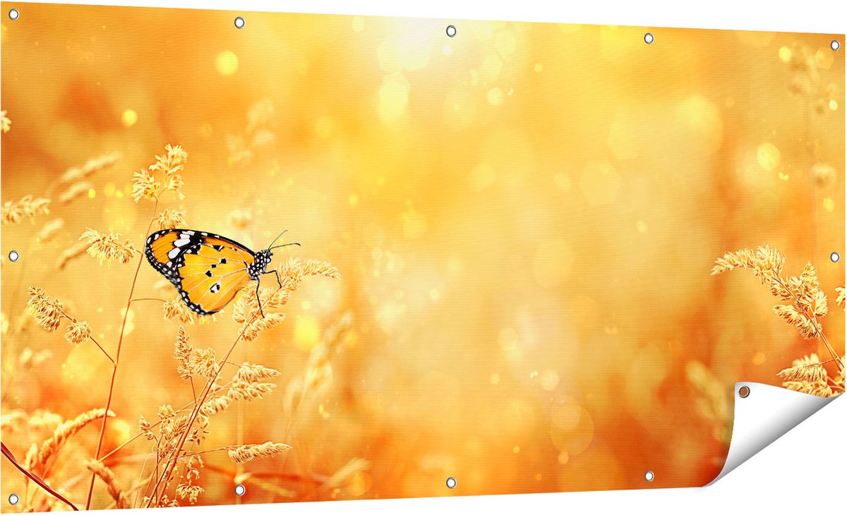 Gards Tuinposter Oranje Vlinder in het Oranje Veld - 160x80 cm - Tuindoek - Tuindecoratie - Wanddecoratie buiten - Tuinschilderij Multikleur