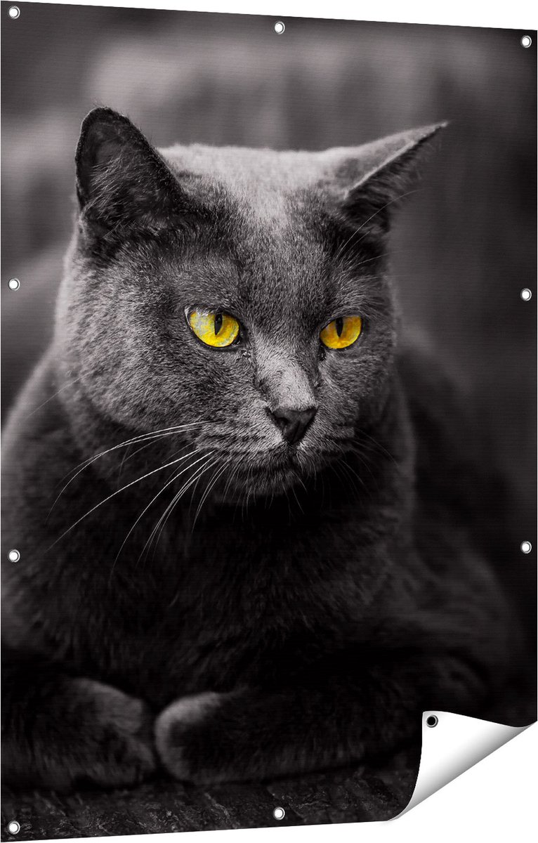 Gards Tuinposter Zwarte Kat met Gele Ogen - 90x120 cm - Tuindoek - Tuindecoratie - Wanddecoratie buiten - Tuinschilderij Multikleur