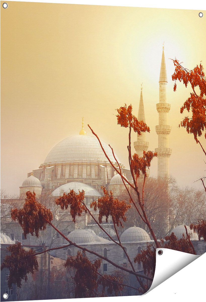 Gards Tuinposter Suleymaniye Moskee in Istanbul - 80x100 cm - Tuindoek - Tuindecoratie - Wanddecoratie buiten - Tuinschilderij Multikleur