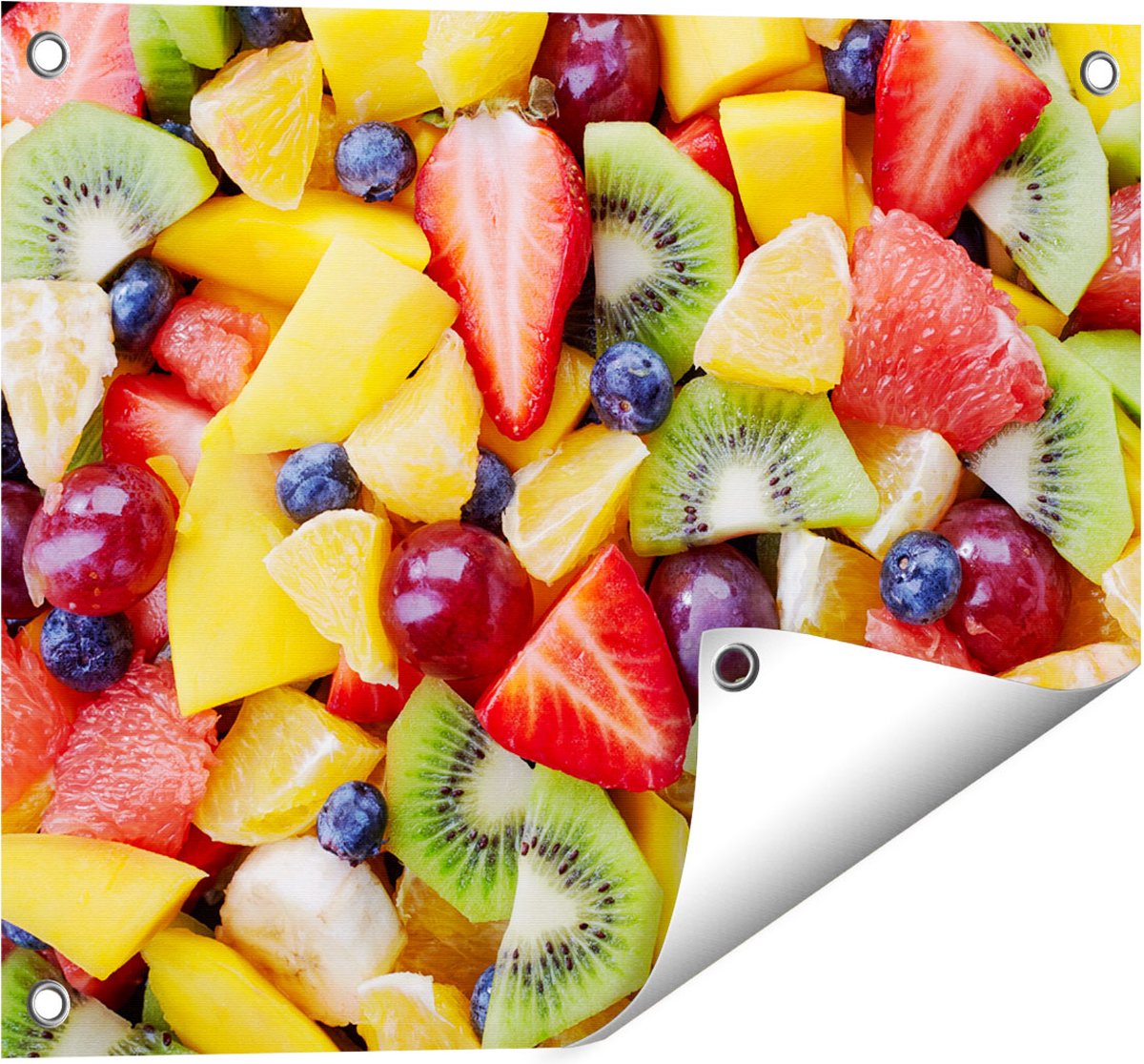Gards Tuinposter Diverse Kleurrijke Fruit Achtergrond - 50x40 cm - Tuindoek - Tuindecoratie - Wanddecoratie buiten - Tuinschilderij Multikleur
