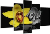 Peinture sur verre d'orchidée | Jaune, gris, noir | 170x100cm 5 Liège | Tirage photo sur verre |  F003570