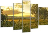 Glasschilderij Natuur - Grijs, Groen, Geel - 170x100cm 5Luik - Foto Op Glas - Geen Acrylglas Schilderij - 6000+ Glasschilderijen Collectie - Wanddecoratie