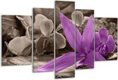 Glasschilderij Orchidee - Grijs, Paars - 170x100cm 5Luik - Foto Op Glas - Geen Acrylglas Schilderij - 6000+ Glasschilderijen Collectie - Wanddecoratie