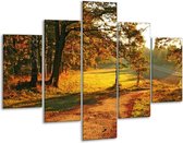 Peinture sur verre Nature | Vert, jaune, marron | 100x70cm 5Liège | Tirage photo sur verre |  F001291
