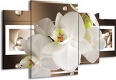 GroepArt - Schilderij -  Orchidee - Bruin, Wit - 160x90cm 4Luik - Schilderij Op Canvas - Foto Op Canvas