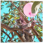 PVC Schuimplaat- Grijs met Witte Kat Spelend met Roze Ballon in Hoge Boom - 50x50 cm Foto op PVC Schuimplaat