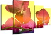 Peinture sur toile Orchidée | Jaune, rose, violet | 160x90cm 4 Liège