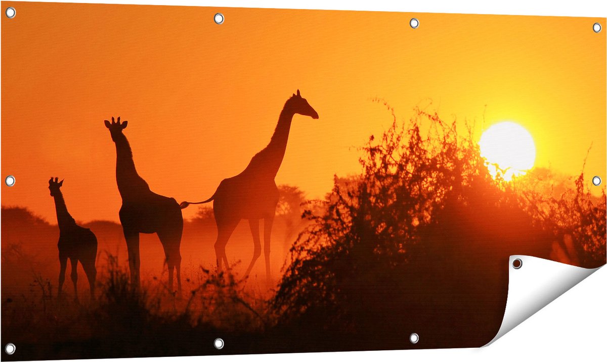 Gards Tuinposter Drie Giraffe Silhouetten bij Zonsondergang - 120x60 cm - Tuindoek - Tuindecoratie - Wanddecoratie buiten - Tuinschilderij Multikleur