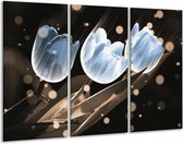 Glasschilderij Tulp - Blauw, Grijs - 120x80cm 3Luik - Foto Op Glas - Geen Acrylglas Schilderij - GroepArt 6000+ Glas Art Collectie - Maatwerk Mogelijk