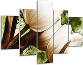 Glasschilderij -  Tulpen - Groen, Wit, Bruin - 100x70cm 5Luik - Geen Acrylglas Schilderij - GroepArt 6000+ Glasschilderijen Collectie - Wanddecoratie- Foto Op Glas