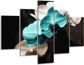 Peinture sur verre d'orchidée | Bleu, noir, gris | 100x70cm 5Liège | Tirage photo sur verre |  F002727