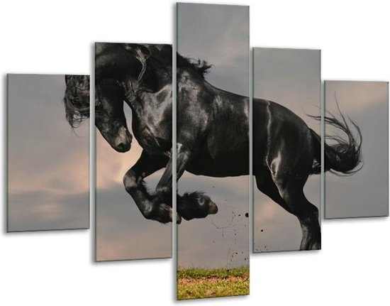 Glasschilderij -  Paarden - Zwart, Wit, Grijs - 100x70cm 5Luik - Geen Acrylglas Schilderij - GroepArt 6000+ Glasschilderijen Collectie - Wanddecoratie- Foto Op Glas