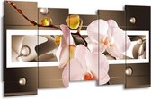 GroepArt - Canvas Schilderij - Orchidee - Bruin, Roze - 150x80cm 5Luik- Groot Collectie Schilderijen Op Canvas En Wanddecoraties