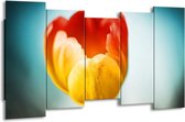 GroepArt - Canvas Schilderij - Tulp - Oranje, Rood, Blauw - 150x80cm 5Luik- Groot Collectie Schilderijen Op Canvas En Wanddecoraties