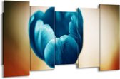 GroepArt - Canvas Schilderij - Tulp - Blauw, Oranje, Bruin - 150x80cm 5Luik- Groot Collectie Schilderijen Op Canvas En Wanddecoraties