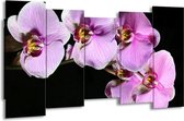GroepArt - Canvas Schilderij - Orchidee - Zwart, Paars, Wit - 150x80cm 5Luik- Groot Collectie Schilderijen Op Canvas En Wanddecoraties