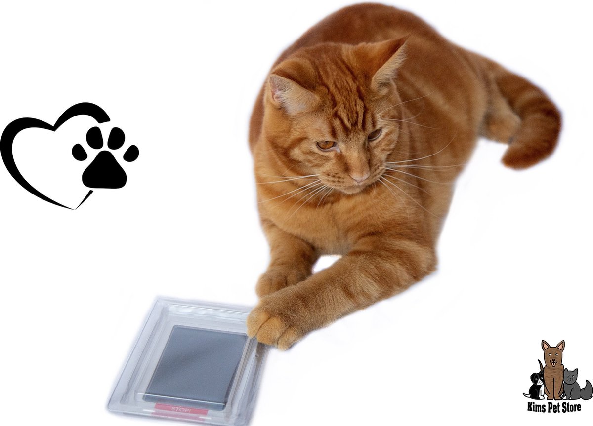 Een Kat Of De Pootdruk Van De Hond Die Met Patronen Wordt Gevuld De Voetafdruk Van Gm1297668191 390744179 Een Kat Of De Pootdruk Van De Hond Die Met Patronen Wordt Gevuld De Voetafdruk Van Gm1297668191 390744179
